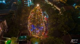 全台最高聖誕樹位於淡水的淡江中學校內，是高達30公尺的實體樹。（圖／淡江中學提供）