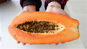 -木瓜-（圖／pixabay)