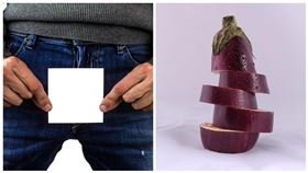 陰莖骨折示意圖（Pixabay）