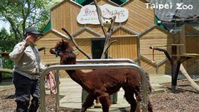 臺北市立動物園－動物行為學院（圖／翻攝自台北市立動物園網頁）