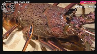 3公斤深海巨獸！　10萬元龍蝦奢華