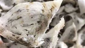 燕窩,昂貴,營養價值,雞蛋,牛奶。（圖／翻攝自搜狐）