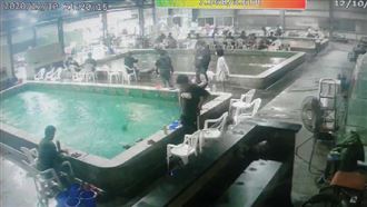 宜蘭釣蝦場浪晃不停　釣客表情超淡定