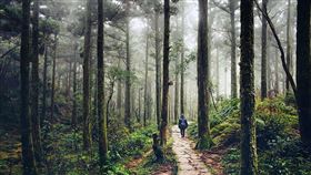 人生必選挑戰清單！44分鐘帶你走92公里「台北大縱走」（圖／翻攝自台北市政府官網）