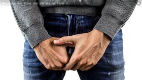 下體　睪丸（示意圖／翻攝pixabay）