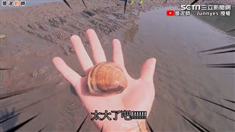 挖巨蛤蜊好簡單？男曝挖蛤蜊秘訣