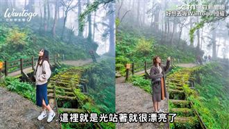 全台唯一！這裡曾獲全球最美小路美譽