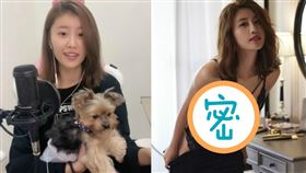 林真亦直播時遭遇強震整個愣住。（圖／翻攝自林真亦直播畫面）