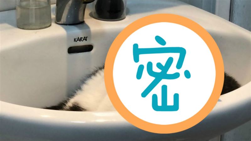 洗手台長出小精靈！耍賴萌樣超療癒