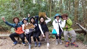 新竹尖石，高島縱走，登山，杉木林。圖／依心喜悅工作室提供