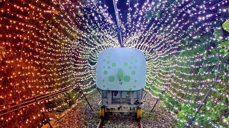 耶誕限定活動！在耶誕光隧道騎自行車