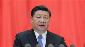 習近平（圖／翻攝自新華網）