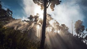 奧丁丁體驗行銷經理林言任分享，會員制推行迄今，體驗會員平均訂單消費金額相較於一般民眾消費成長約3.5倍。（圖／奧丁丁提供）