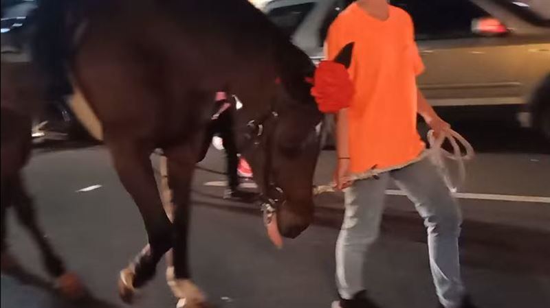 青山宮翻版！鞭炮轟炸整夜惹怒埔里人