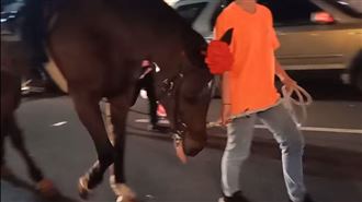 青山宮翻版！鞭炮轟炸整夜惹怒埔里人