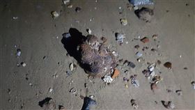 海岸地貌改變  未爆彈殘體頻頻現形金門雖已在2013年成為無雷島，但近來岸際經常出現未爆彈或未爆地雷，生態專家表示，由於海岸地貌不斷改變，研判會有更多的未爆彈或地雷殘體現形。（金門岸巡隊提供）中央社記者黃慧敏傳真　109年12月13日