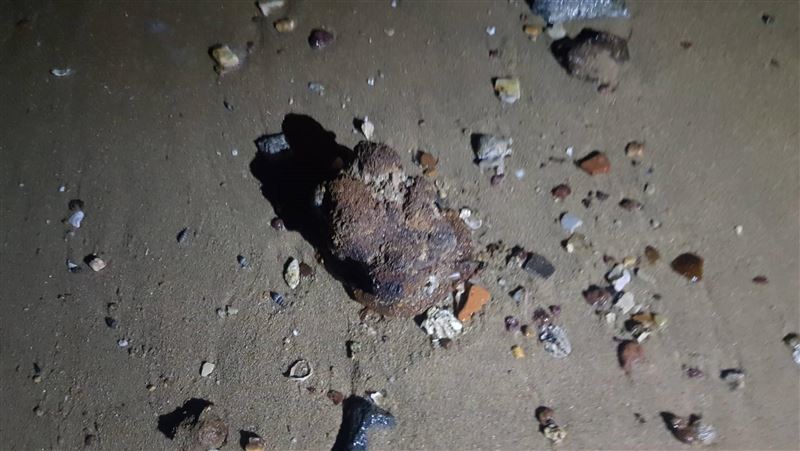 金門地雷未爆彈現形　軍方帶回處置