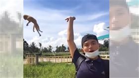 重落地,抖音,虐貓,馬來西亞