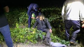 玉米田,竊賊,埋伏