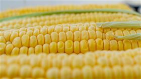 玉米。(圖/Pixabay)