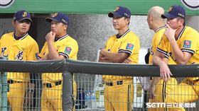 ▲中信兄弟教練團。（圖／記者劉彥池攝影）