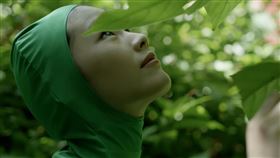 柯泯薰《自戀的自虐》。（圖／洗耳恭聽提供）