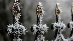 俄羅斯,失溫,凍死,意外,欄杆,鑰匙,pixabay