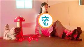 曹雅雯/AM娛樂提供