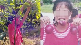 百香果,遇害,死刑,性侵