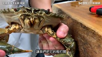 處理螃蟹小妙招！用桌子就能秒開蟹殼