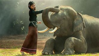 史上唯一被處絞刑的大象　想到就心痛