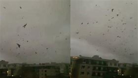 天色瞬間昏暗，民眾一抬頭竟看見上千隻烏鴉在空中盤旋。（圖／翻攝自Reddit討論區 ）