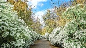 台中新社沐心泉休閒農場，IG：beckhamhong66 授權提供