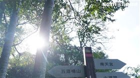 出太陽、天氣、好天氣、晴天、太陽（圖／資料照）