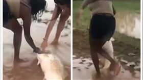 澳洲,沼澤,釣魚,抓魚（組合圖／翻攝自燃新聞視頻）