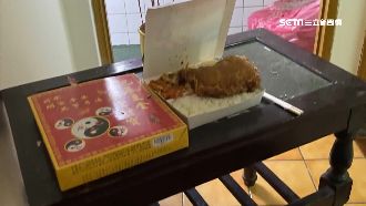 擺雞腿便當拜地基主　警攻破詐騙機房