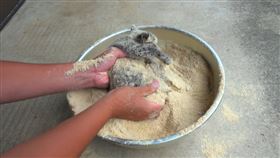 貓咪被裹上一層麵包粉，似乎下一秒要被拿去油炸，讓網友痛批，「虐待動物」。（圖／翻攝自gao_zip推特）