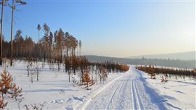 俄羅斯,西伯利亞,雪地 圖/Pixabay