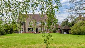 名家專用／草根影響力新視野（勿用）