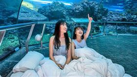 與海洋生物共眠的夜宿海生館為屏東熱門體驗之一。（圖／易遊網提供）