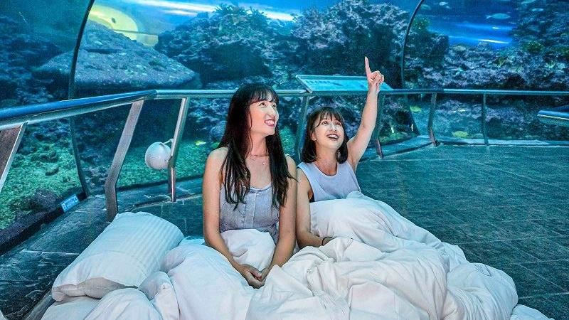 異軍突起！屏東訂房增2倍　業者插旗