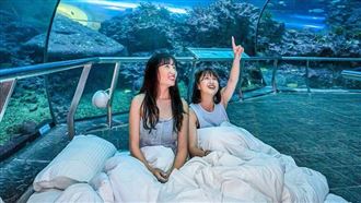 異軍突起！屏東訂房增2倍　業者插旗