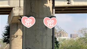 滑板公園,新竹左岸,滑板鞋,林智堅