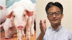 蘇偉碩、豬（資料照／農委會提供、翻攝蘇偉碩臉書）