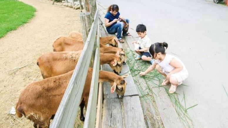 獨／寒假超前部署　旅行社推免費出遊