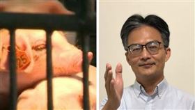 扯「萊劑比搖頭丸毒」被告！醫師蘇偉碩：將請蔡英文當證人（圖／資料照、翻攝自蘇偉碩醫師的543臉書）