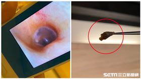 采耳／耳屎（記者陳弋攝影）