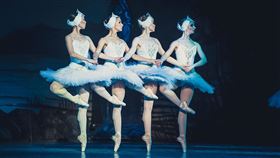 莫斯科古典芭蕾舞團經典舞碼《天鵝湖》圖／聯合文創提供