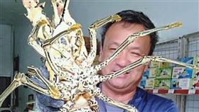 台東捕獲罕見抱卵大白鬚龍蝦　順利野放（1）台東縣長濱鄉有漁民捕獲罕見的大白鬚龍蝦，且是一隻抱卵母龍蝦，經適度照料後，17日由鄉民池祥鈺帶到海邊順利野放。（池祥鈺提供）中央社記者盧太城台東傳真　109年12月17日