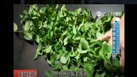 南投,茶文化館/翻攝自開心FARM大力玩(業配勿用)